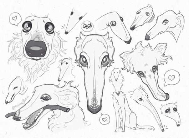 Borzoi!